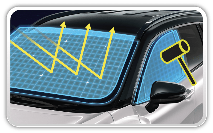 Security & Solar Film